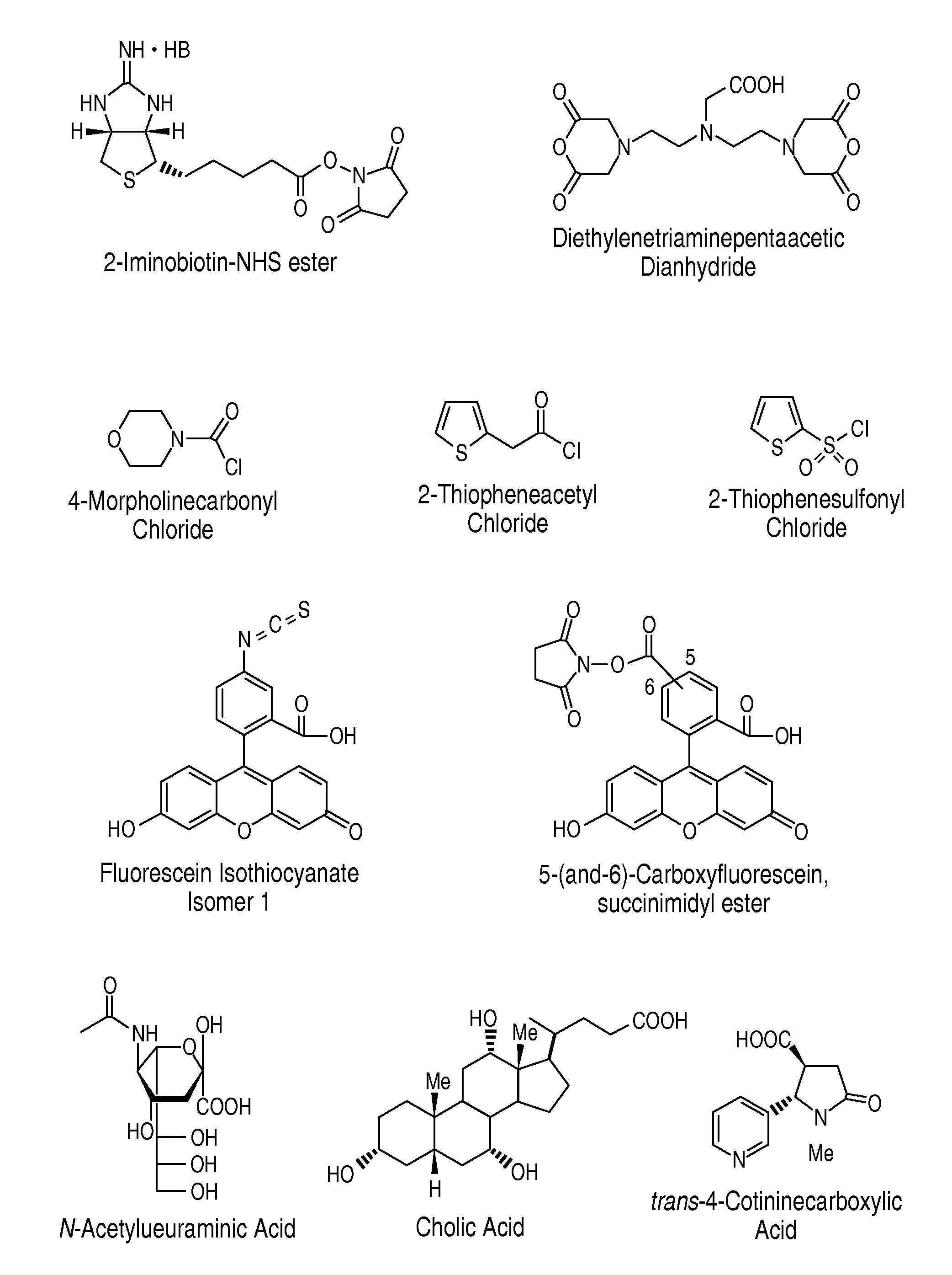 Modulators of amyloid aggregation