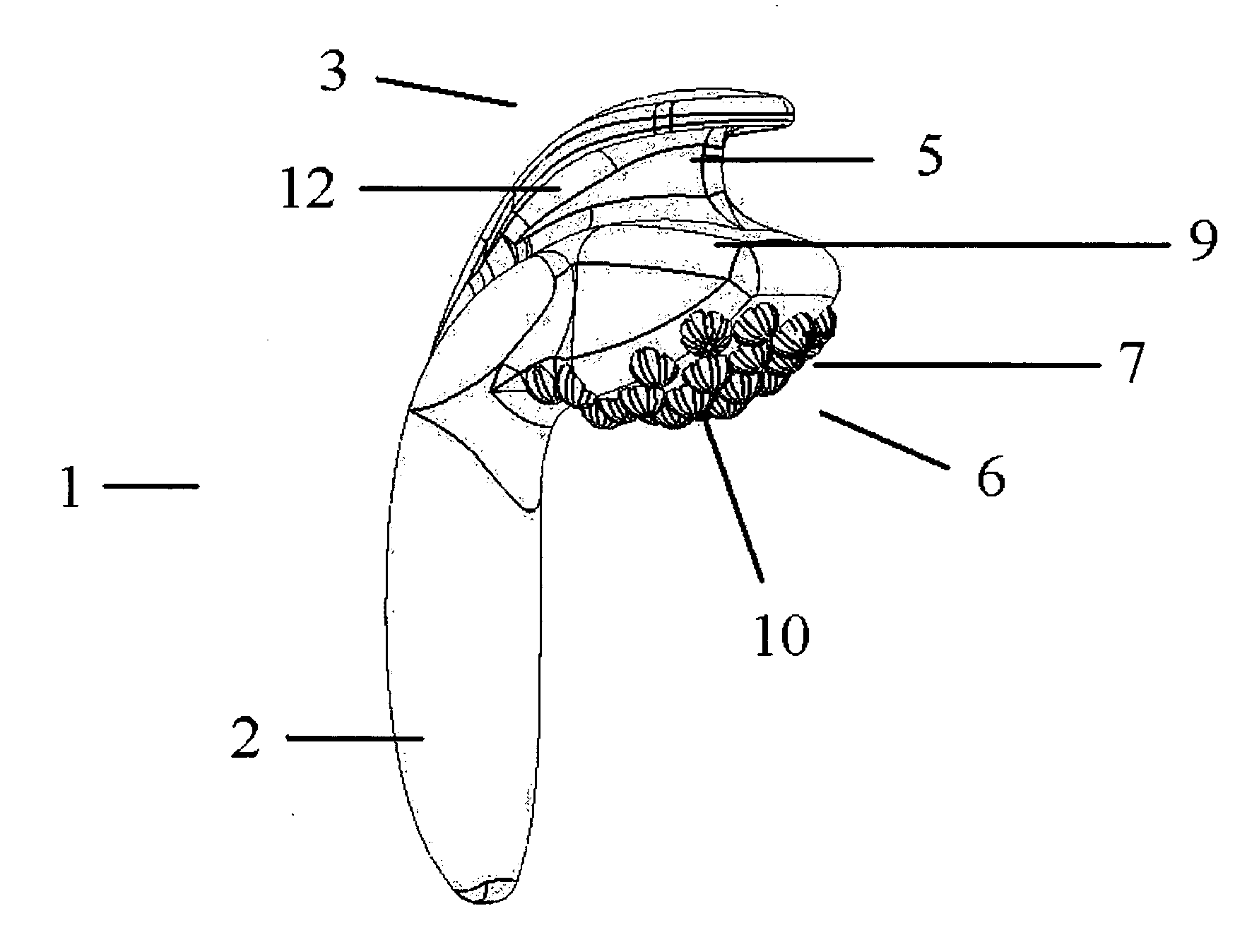 Sexual stimulation apparatus