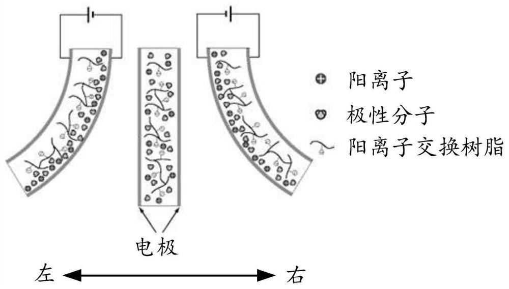 Camera module and electronic equipment