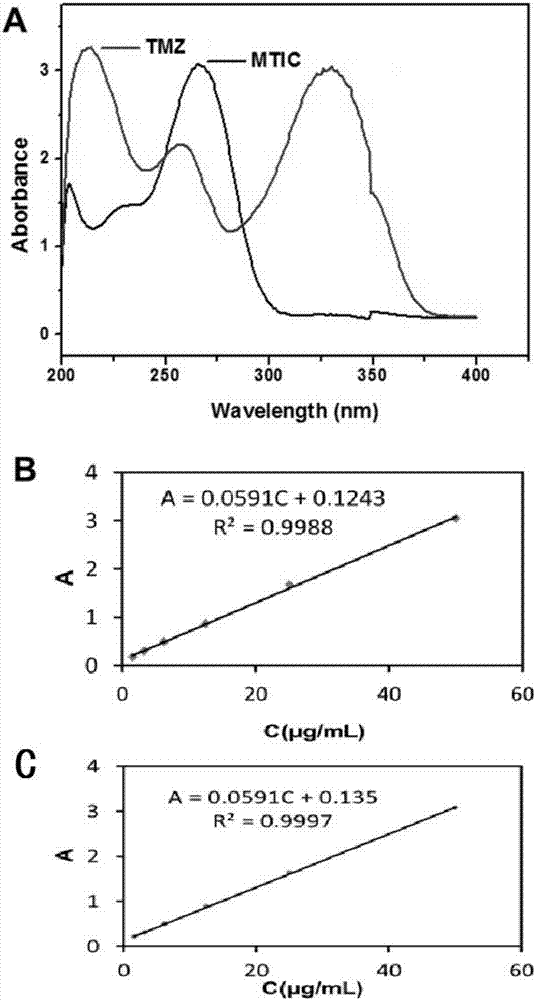 Photosensitizer targeting nanoparticles used for optical therapy as well as preparation method and applications of photosensitizer targeting nanoparticles