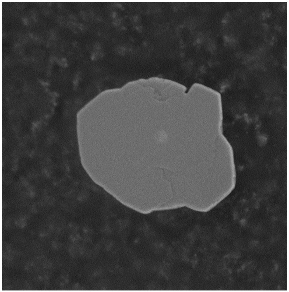 A preparation method of bionic shell structure ceramic and metal composite material