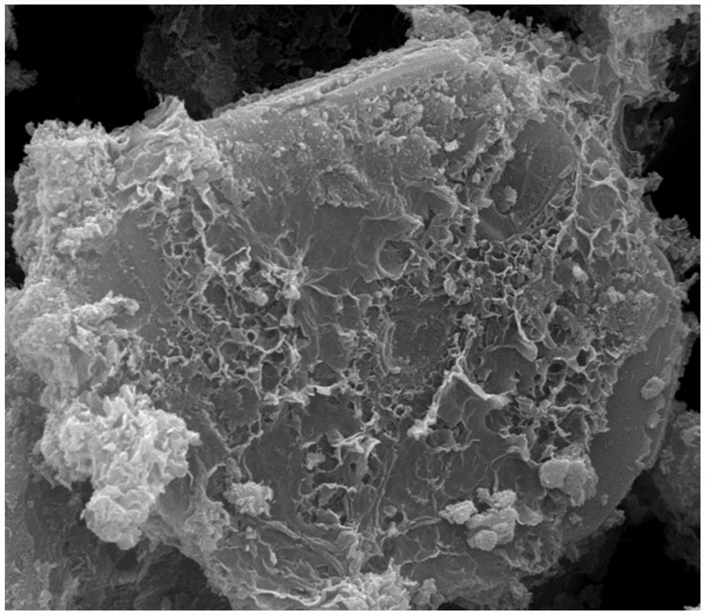 A preparation method of bionic shell structure ceramic and metal composite material