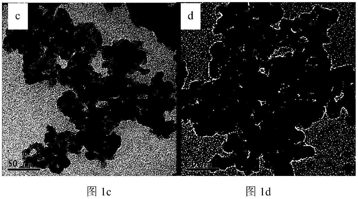 A visible light-responsive composite catalyst for degrading organic pollutants in saline wastewater and its preparation method