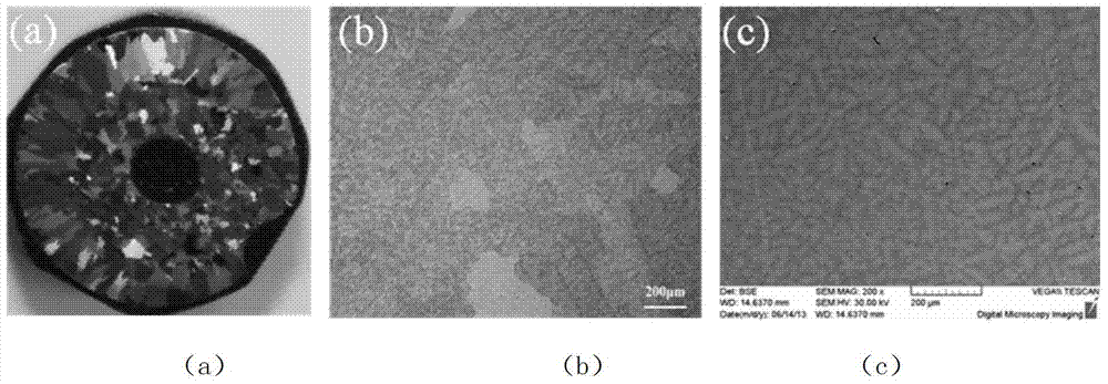 TiAl alloy crystal grain refinement method