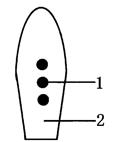 Magnetic therapy suppository for pruritus ani