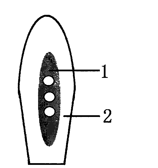 Magnetic therapy suppository for pruritus ani