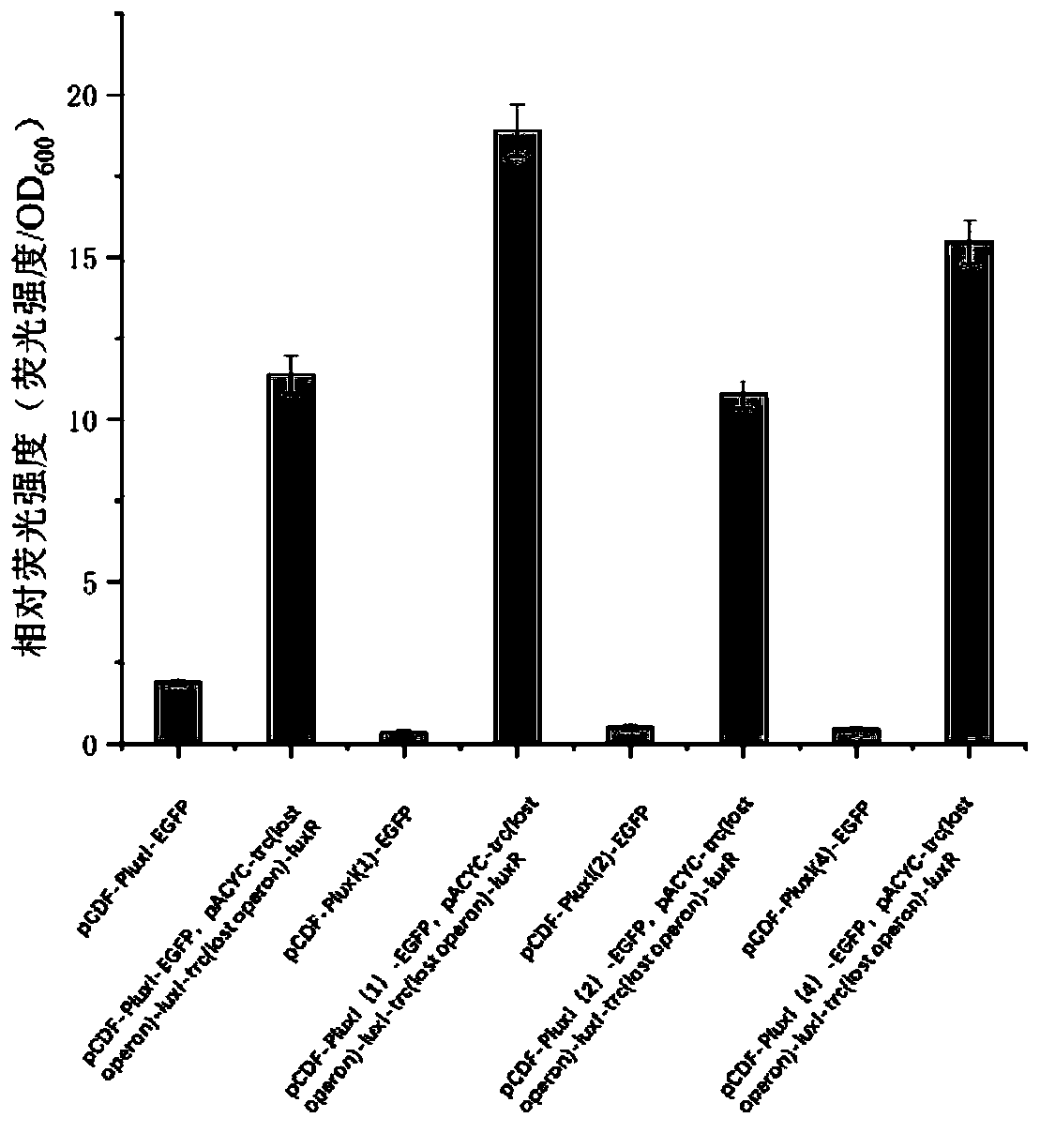 Iterative gene circuit based on vibrio fischeri quorum sensing system and T7 expression system, and application of iterative gene circuit