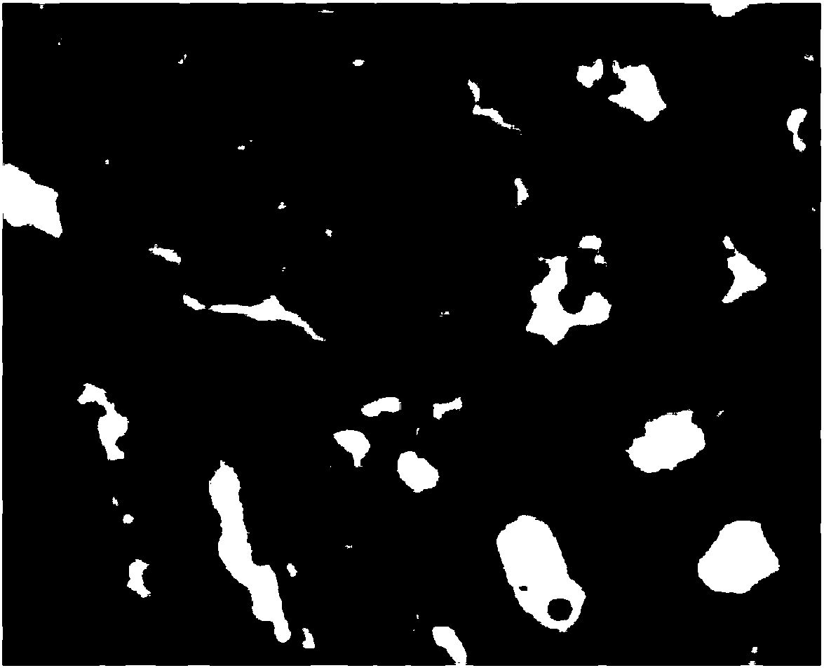 Method for extracting total flavonoid in pteridium aquilinum by ultrasound-assisted compound enzyme method