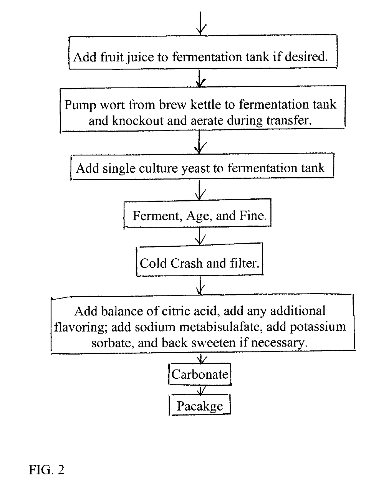 Fermented tea beer