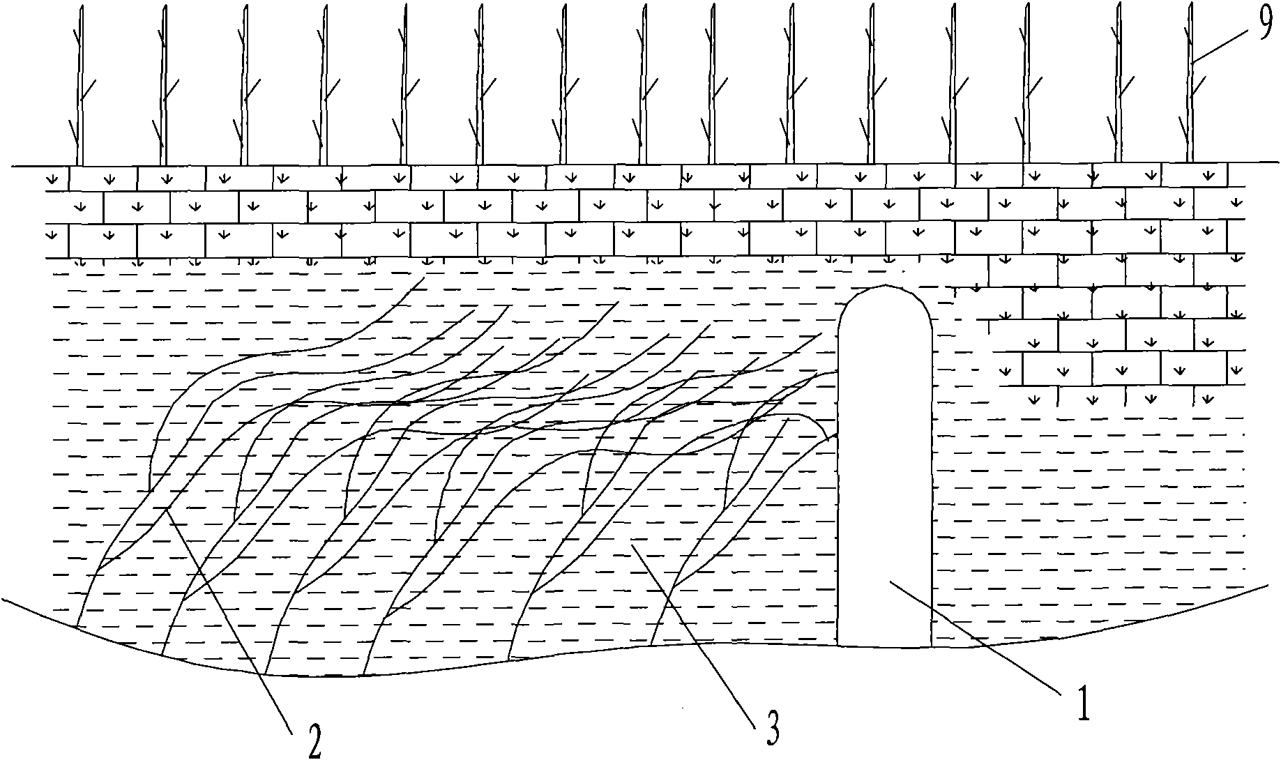 Riverway water quality purification and ecosystem restoration adjustable wetland technology