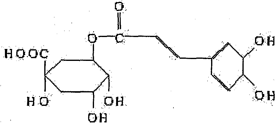 The use of chlorogenic acid in the manufacture of medicaments for increasing the effect of bone marrow cells