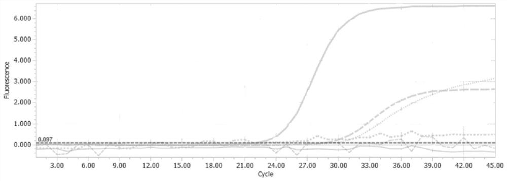 Systems and methods for detecting and differentiating Proteus mirabilis, Proteus vulgaris, and Proteus panethii