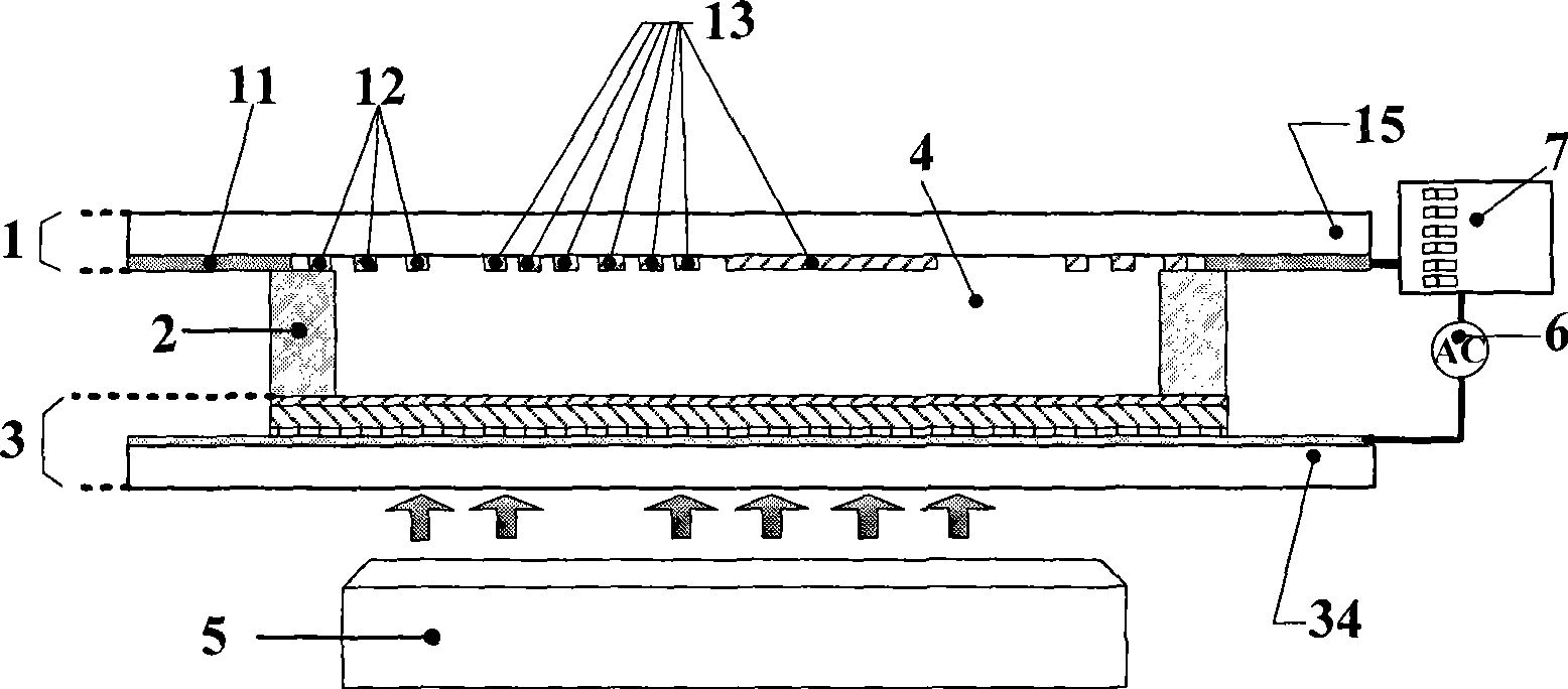 Low-dimensional nanophase material high-flexibility assembling chip and application method