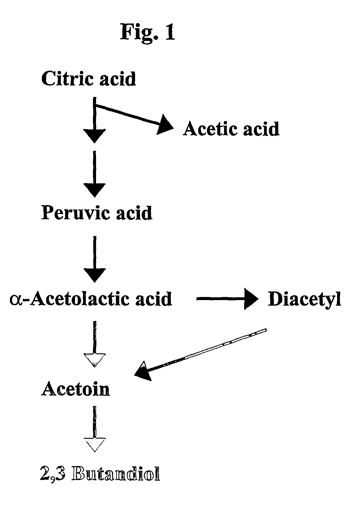 Initiation of fermentation