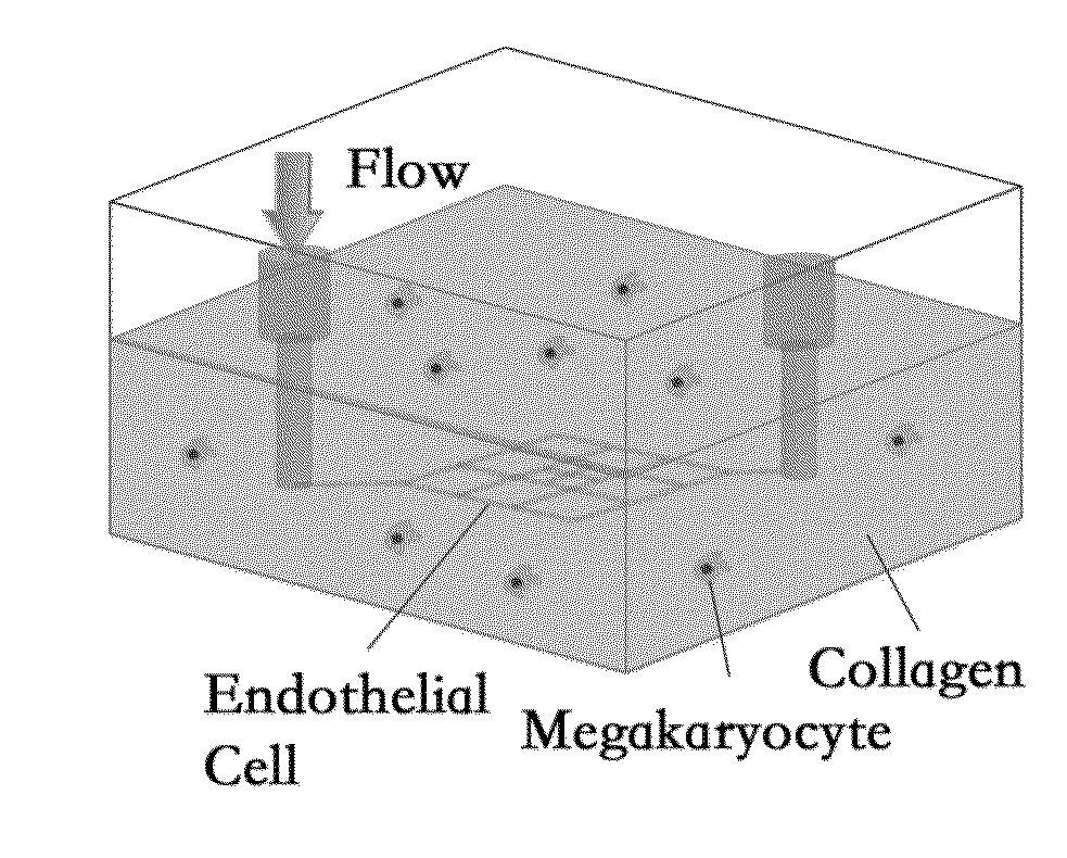 Blood-cell producing bio-microreactor