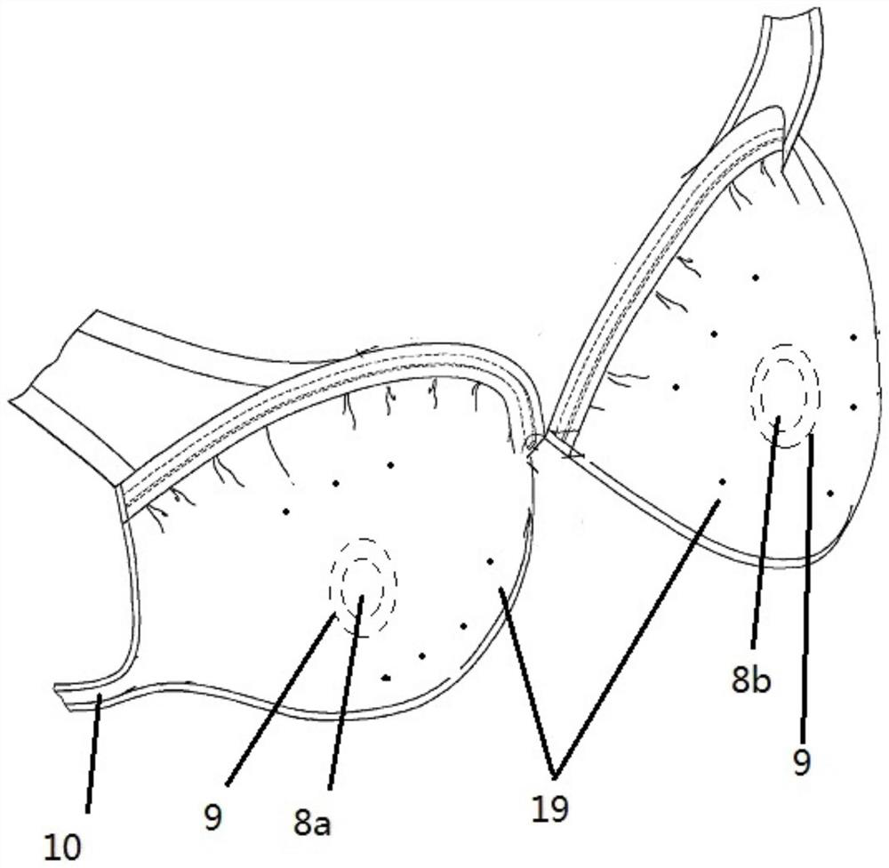 A quantum cup and its preparation method