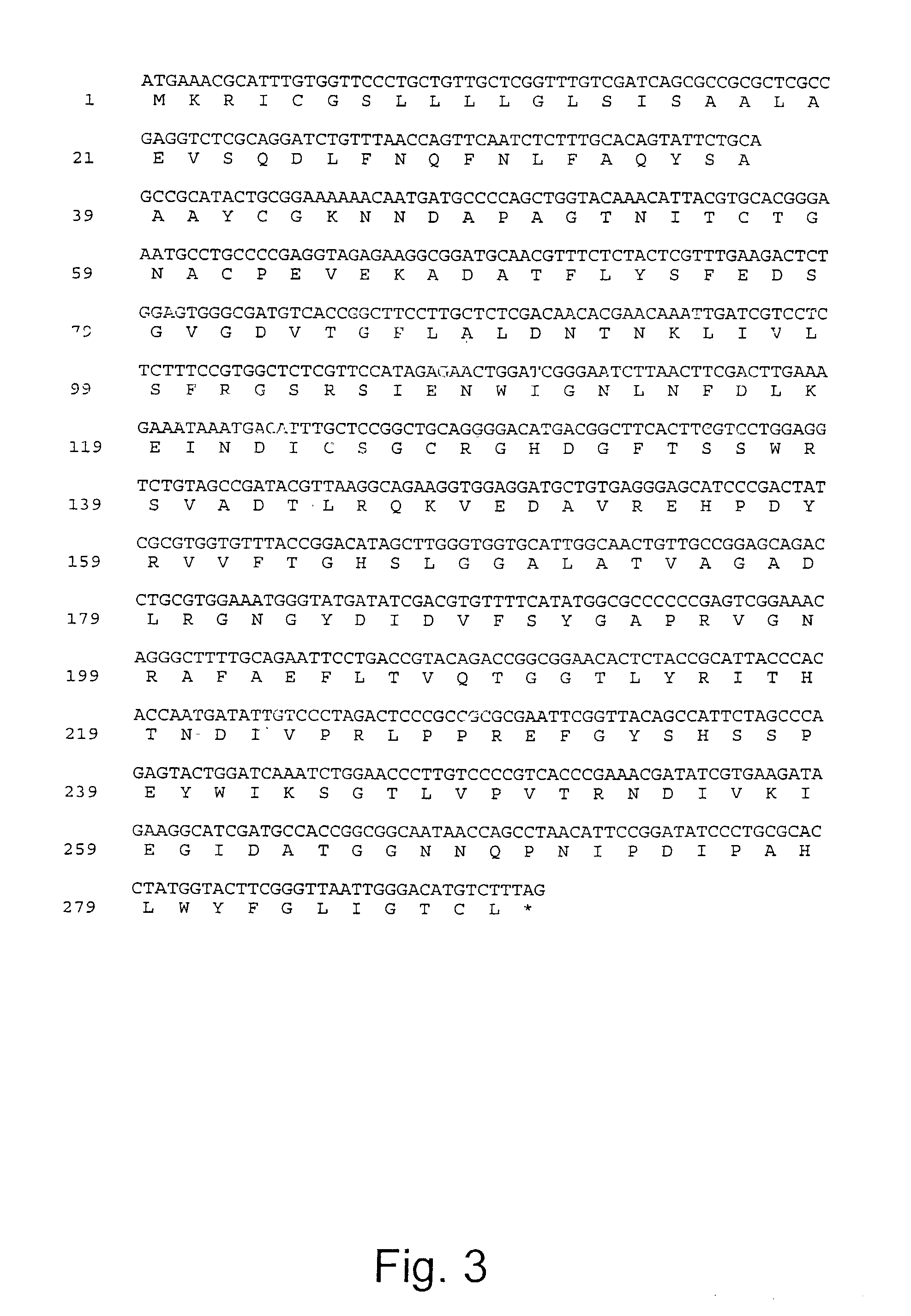 Lipolytic enzymes