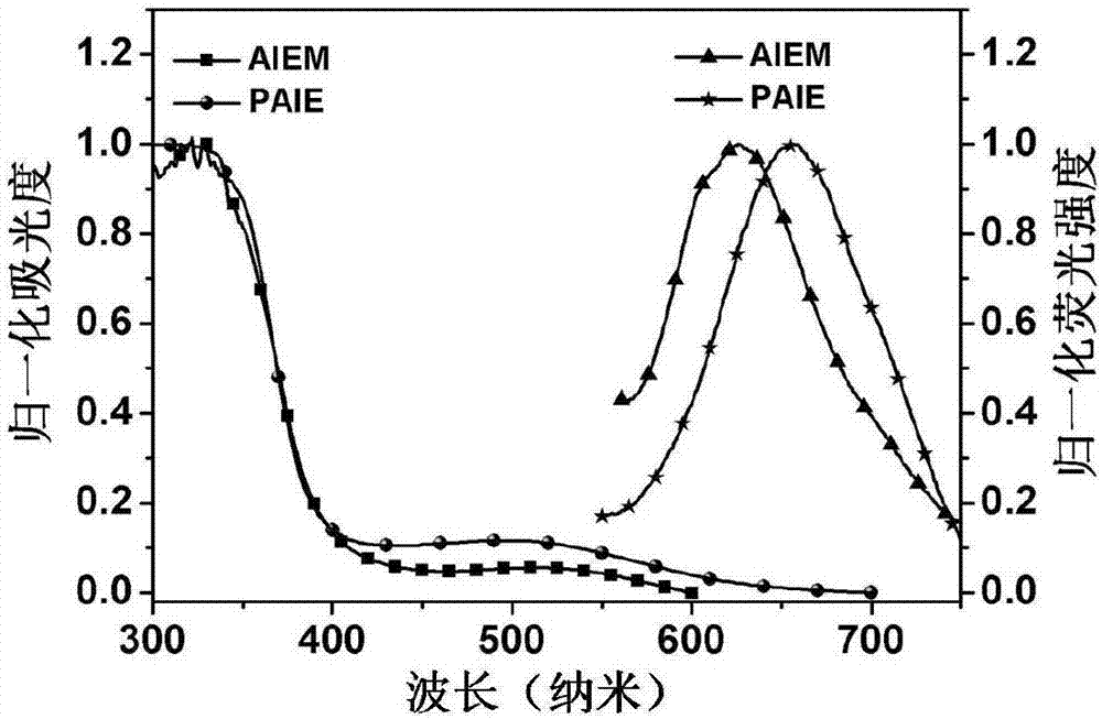 Near infrared laser-driven mitochondrial targeting fluorescent polymer and preparation method and application thereof