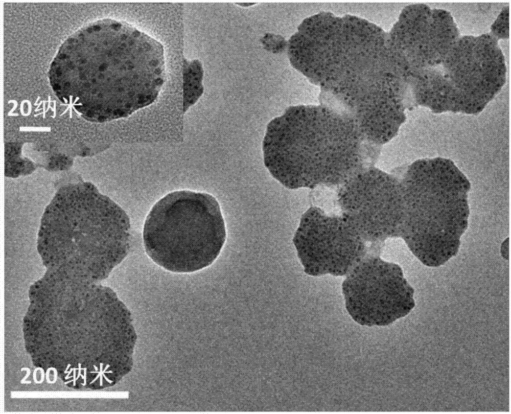 Near infrared laser-driven mitochondrial targeting fluorescent polymer and preparation method and application thereof