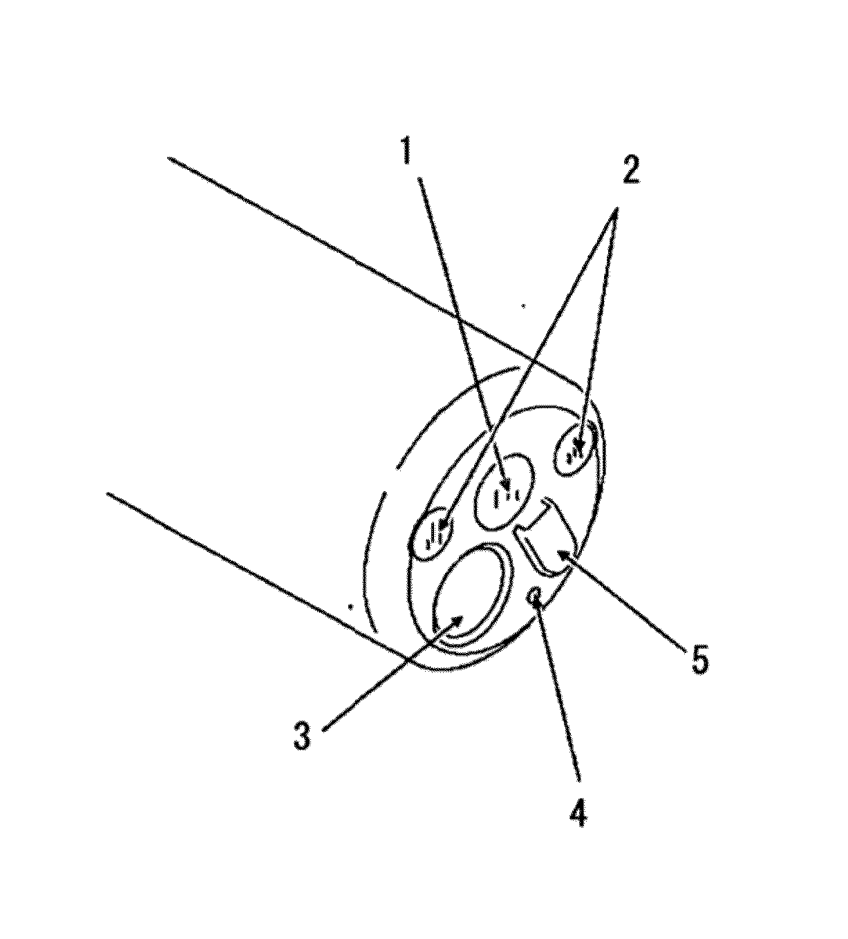 Endoscope lens cleaner