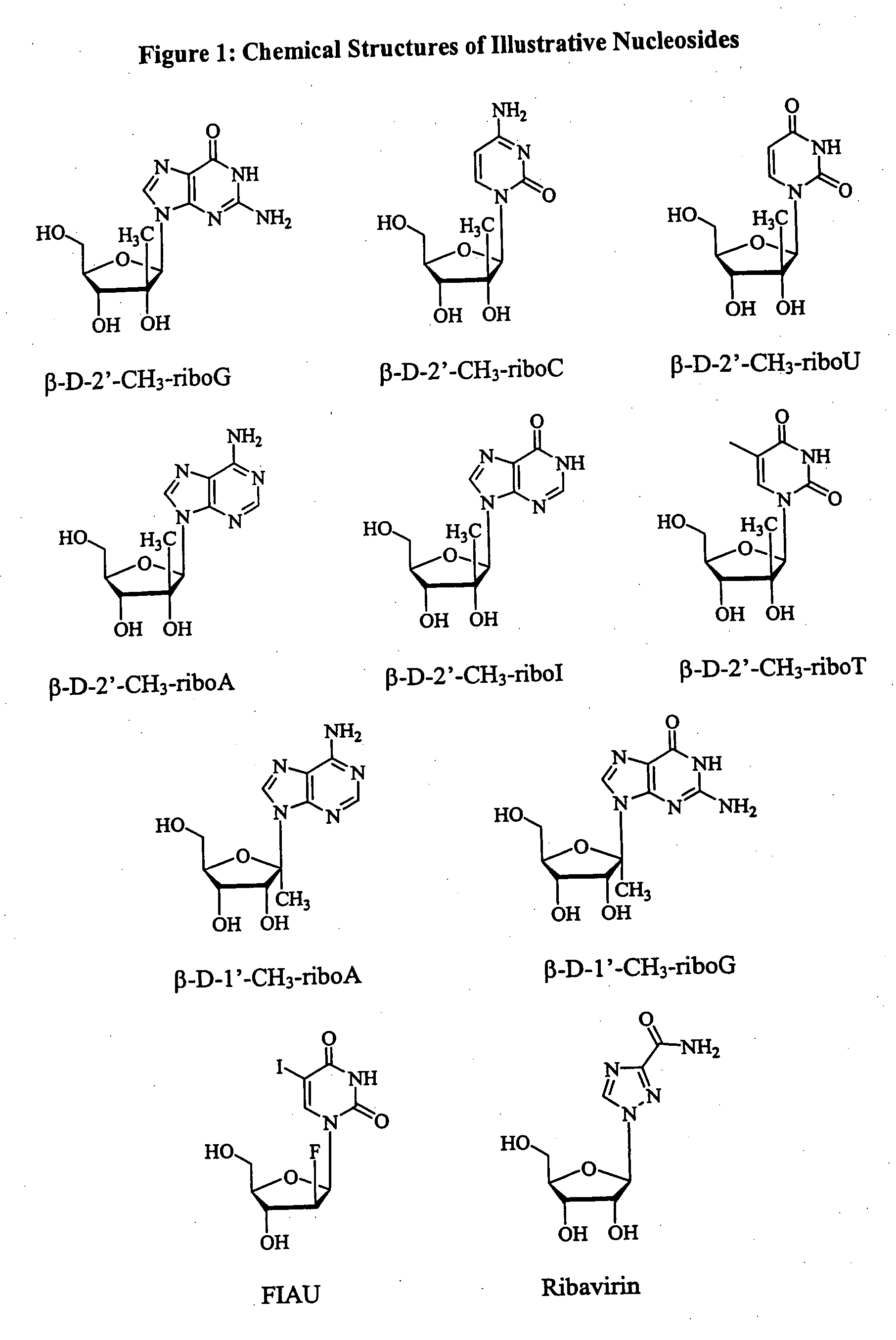 Methods and compositions for treating flaviviruses and pestiviruses