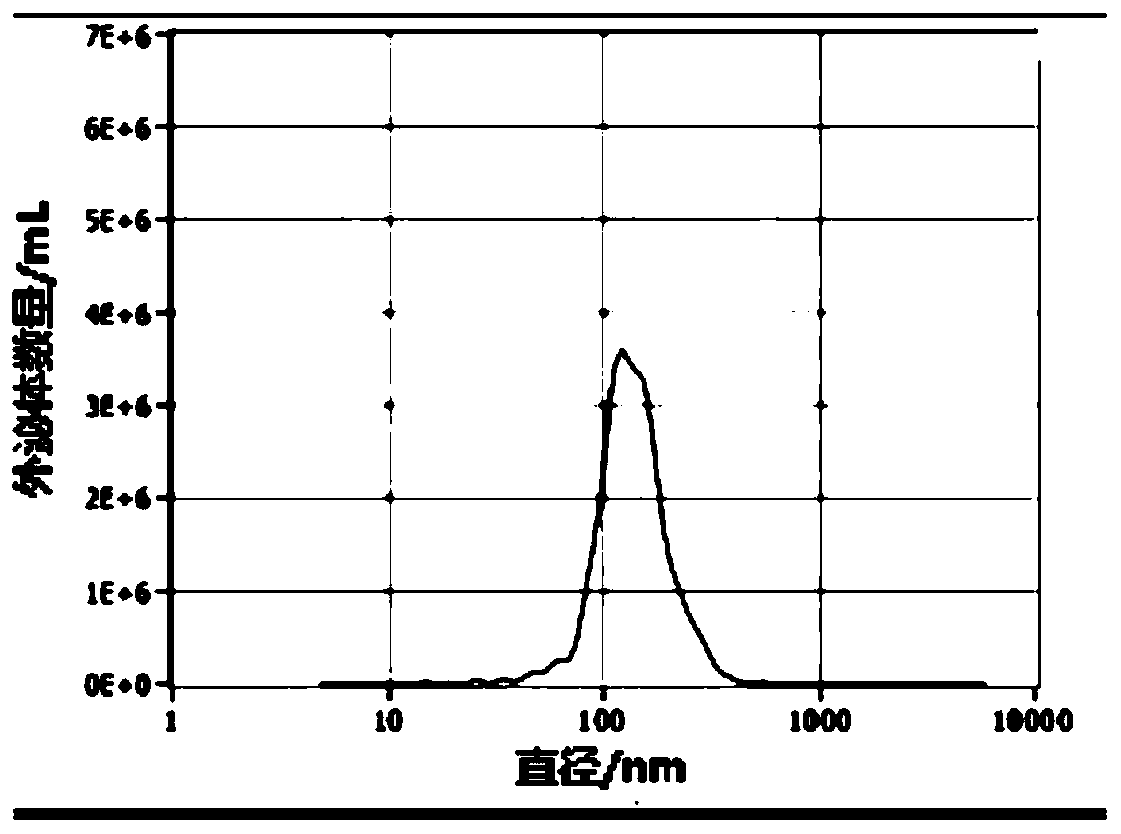 modified HEK293T cell, preparation method thereof, drug-loaded exosome, and preparation of drug-loaded exosome