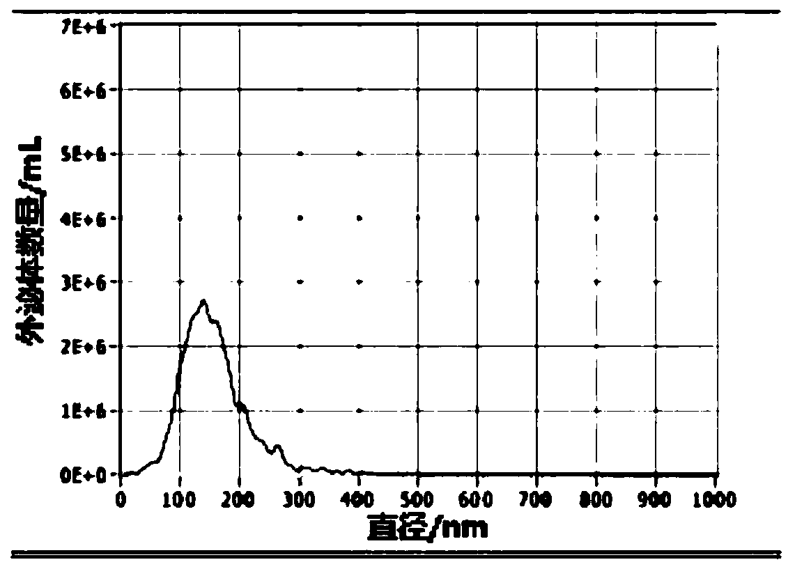 modified HEK293T cell, preparation method thereof, drug-loaded exosome, and preparation of drug-loaded exosome