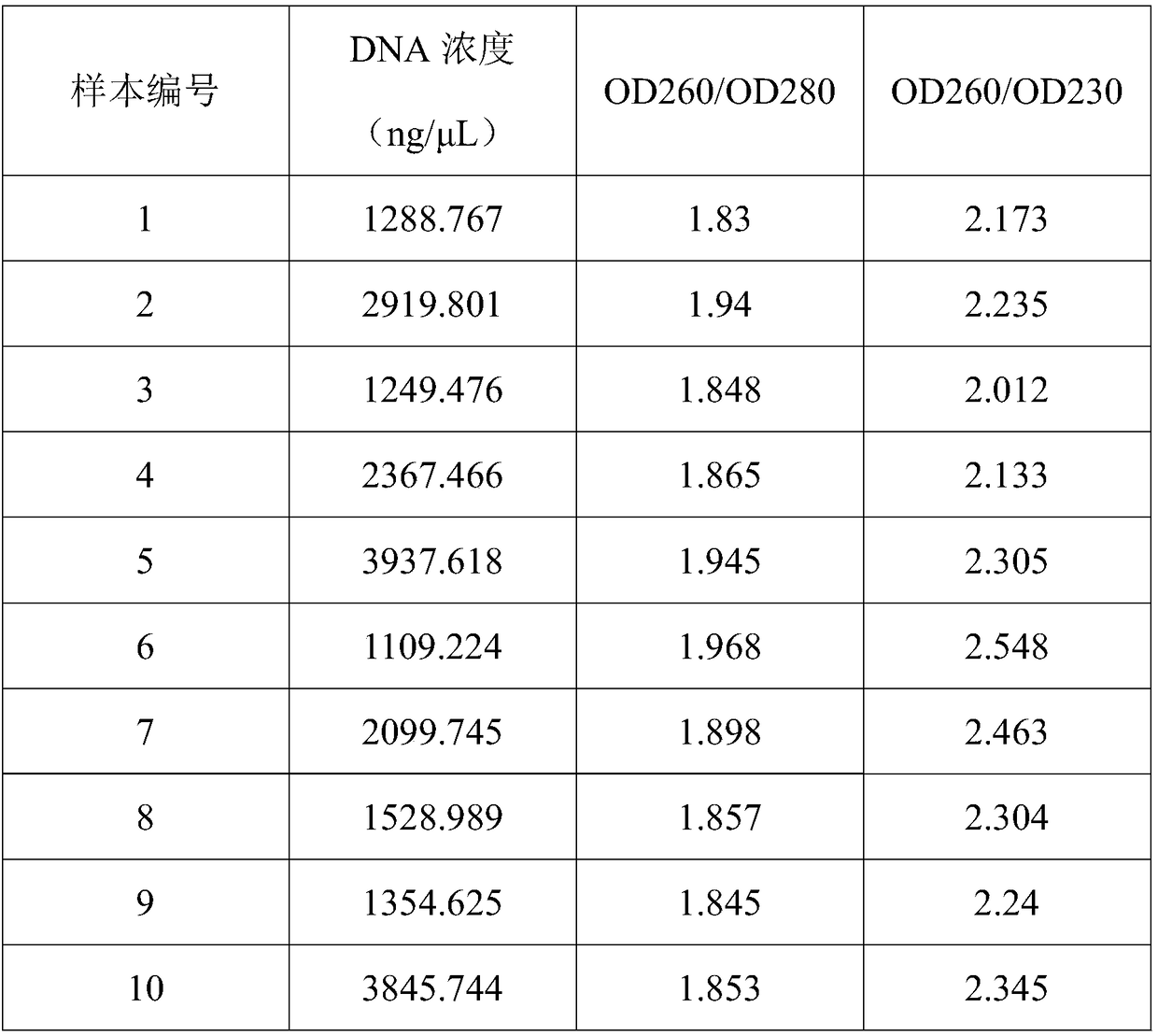 Method for separation and extraction of DNA and RNA in cells