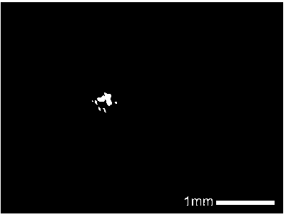 Polyurethane modified calcium alginate gel microballoon and preparation method thereof