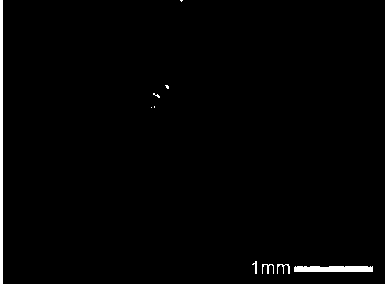 Polyurethane modified calcium alginate gel microballoon and preparation method thereof