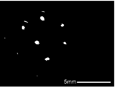 Polyurethane modified calcium alginate gel microballoon and preparation method thereof