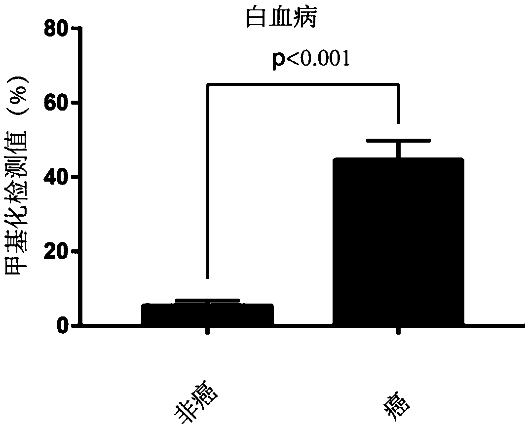 Tumor marker STAMP-EP6 based on methylated modification