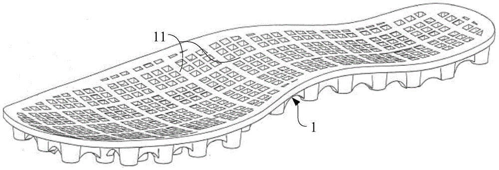 Integrated Functional Shoes