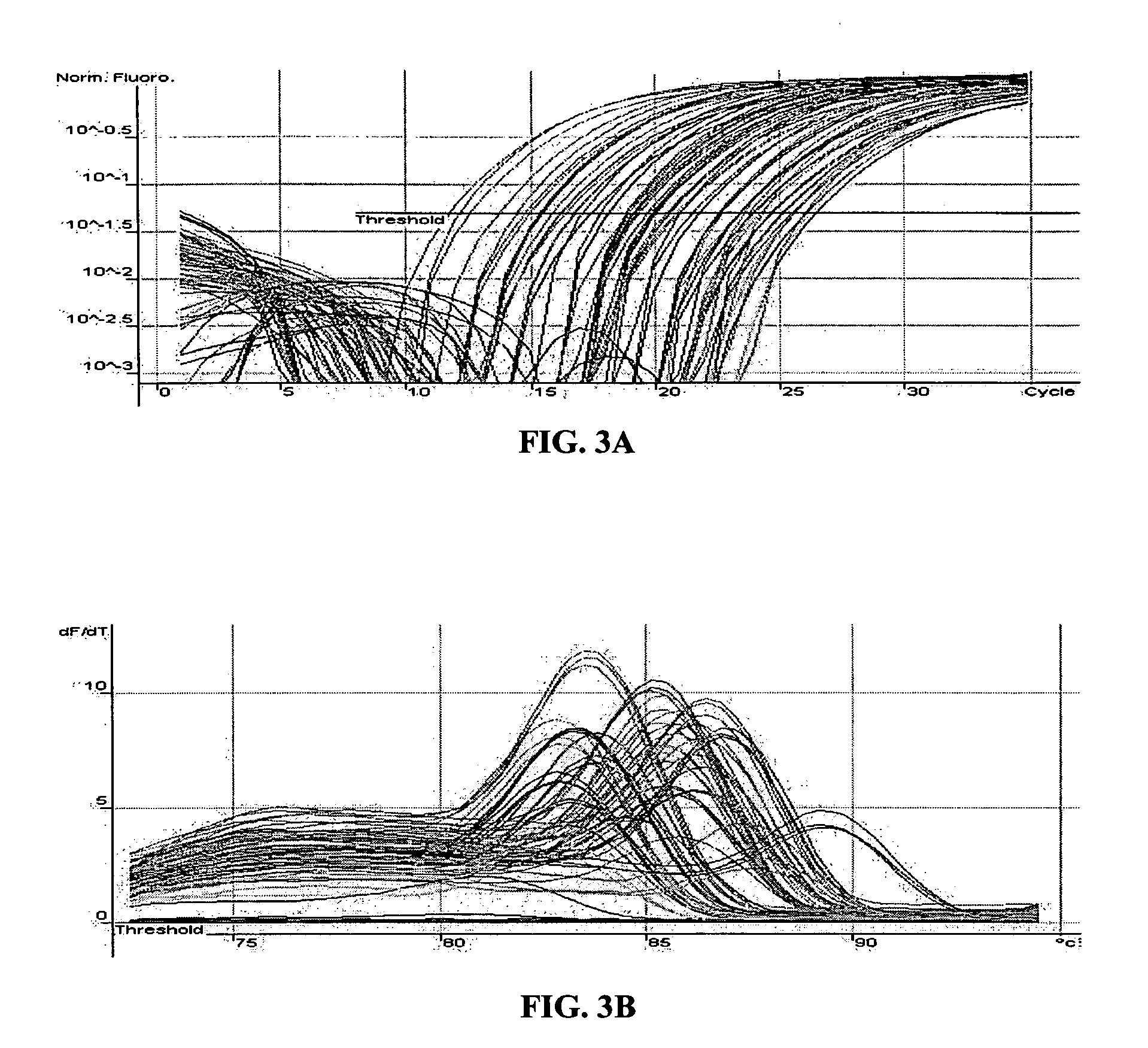 Methods for the amplification, quantitation and identification of nucleic acids