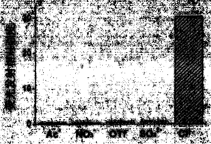 Chloride ion fluorescent probe and preparation method and application thereof