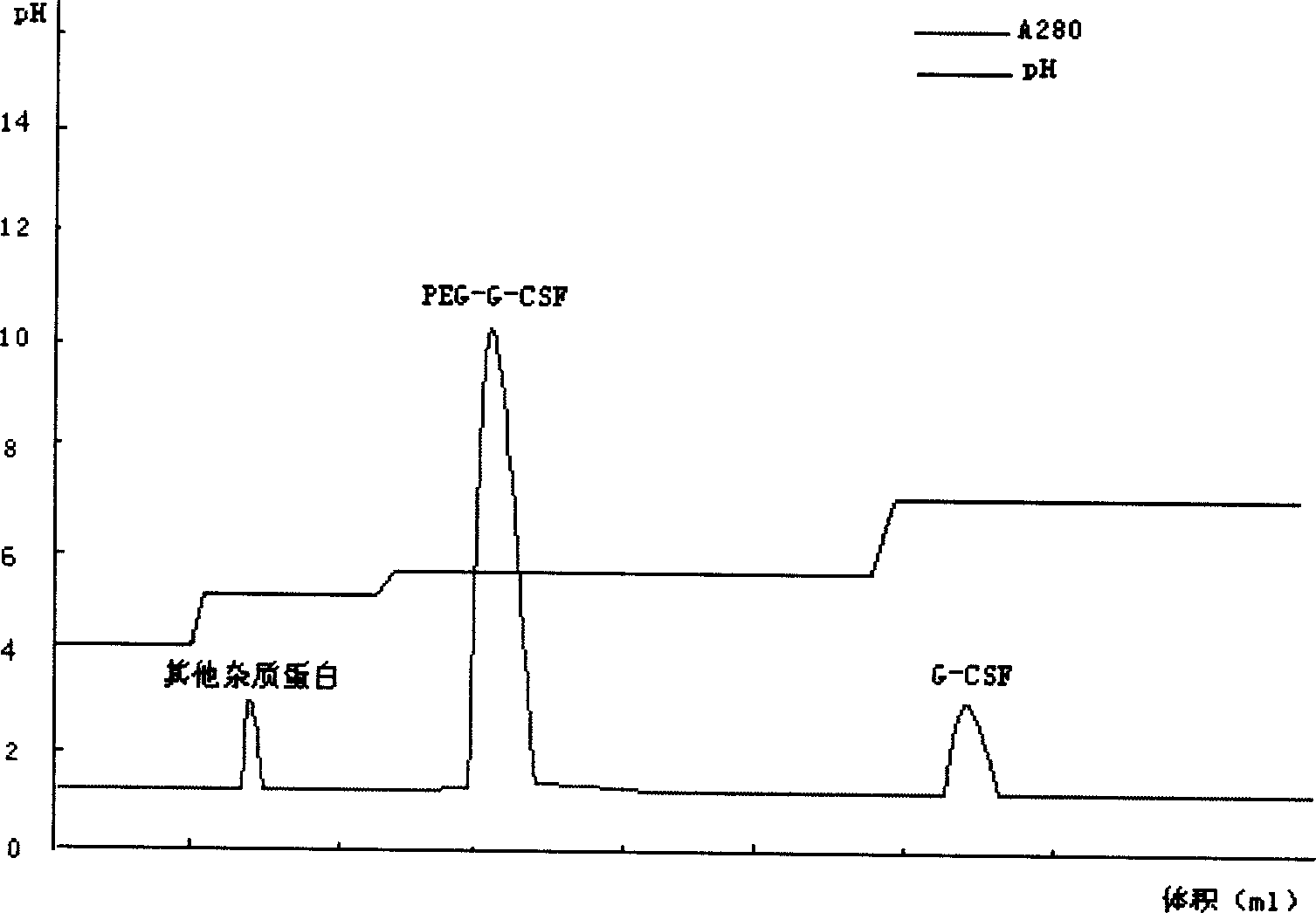 Recombinant human granulocyte colony stimulating factor and one-step purifying process for chemical modifications thereof