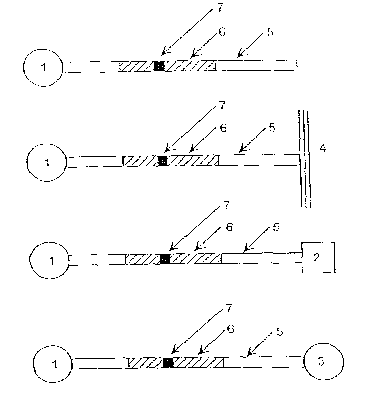 Optical probes and assays