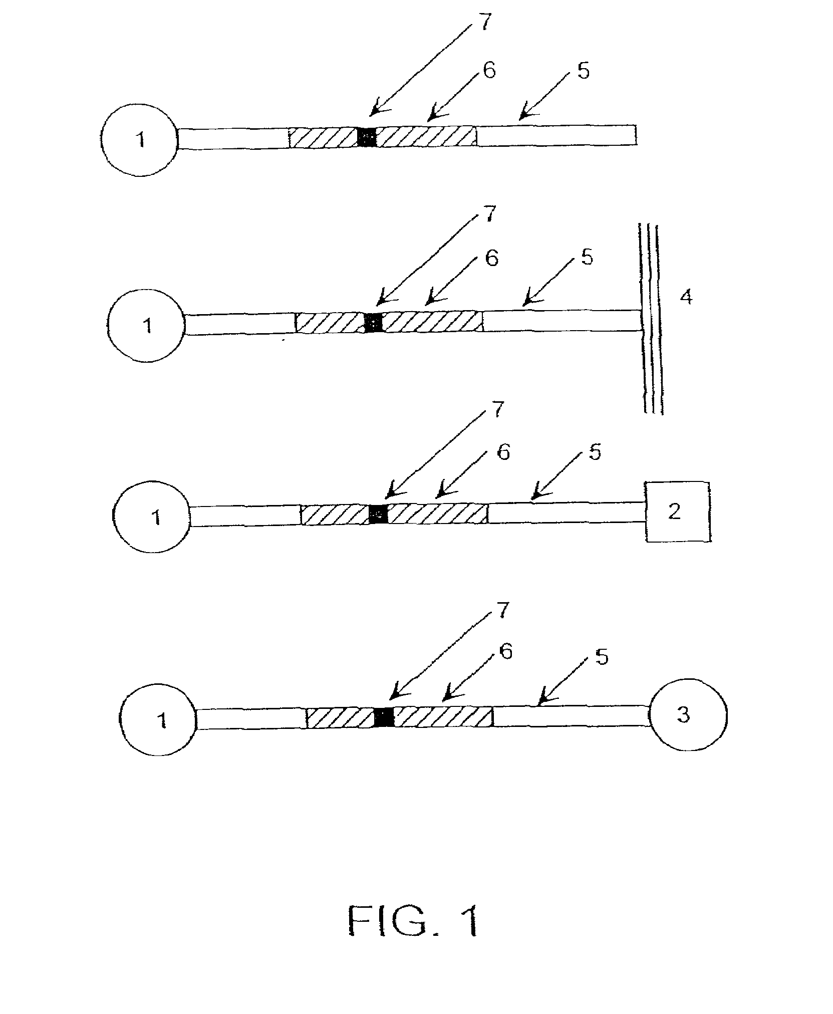 Optical probes and assays