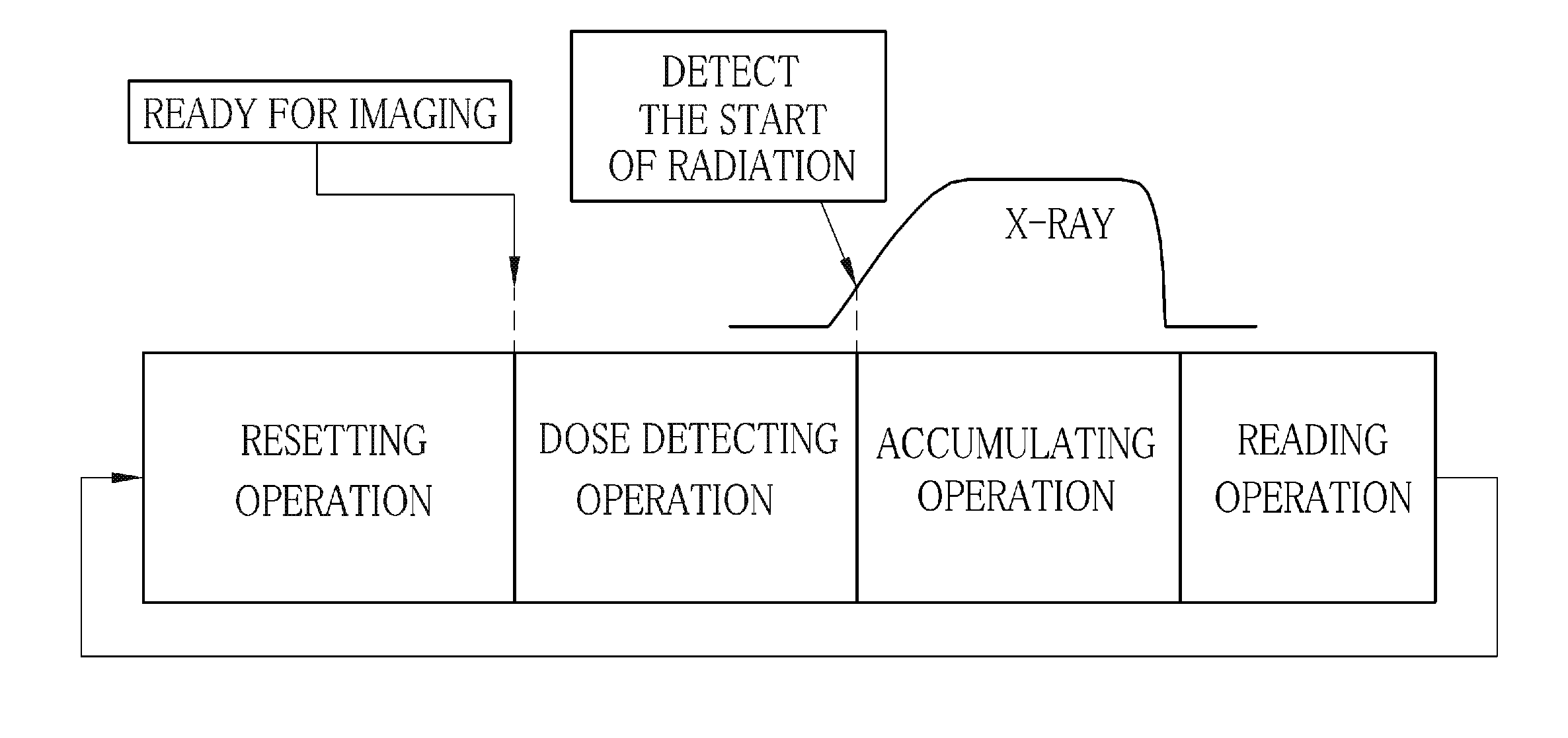 Radiographic image detector and controlling method therefor