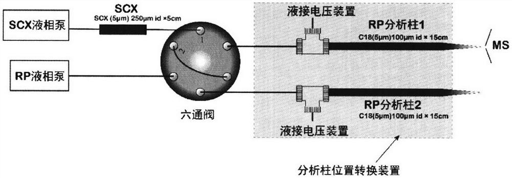 Multi-dimensional dual-channel liquid chromatography-mass spectrometry device