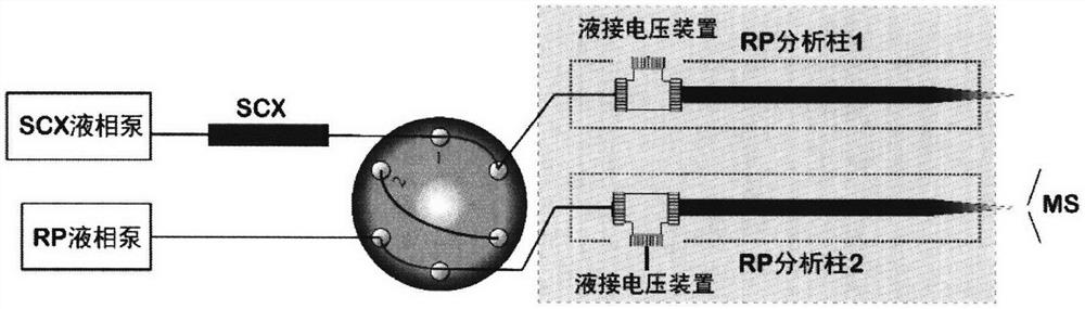 Multi-dimensional dual-channel liquid chromatography-mass spectrometry device