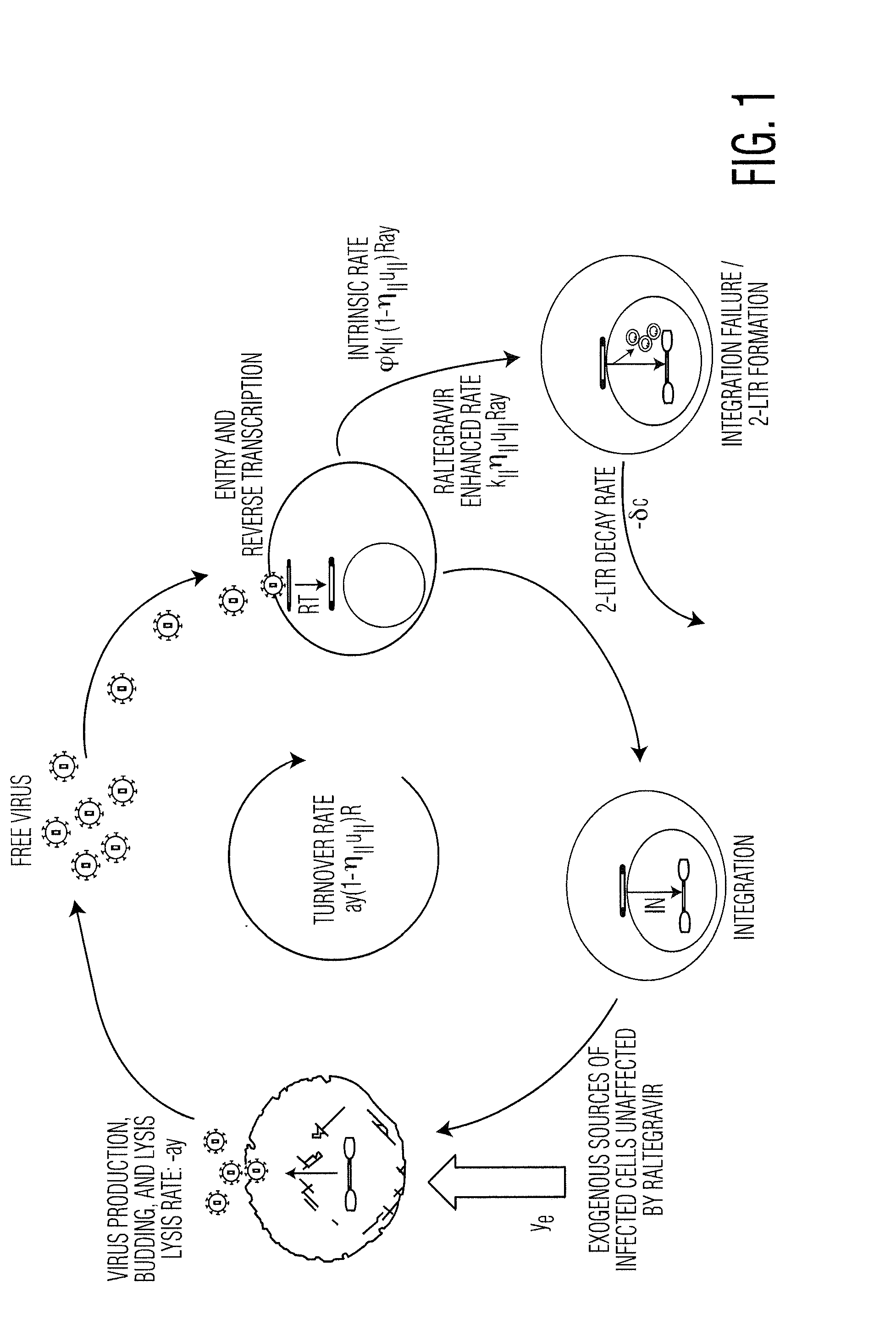 Detecting and quantifying cryptic HIV replication