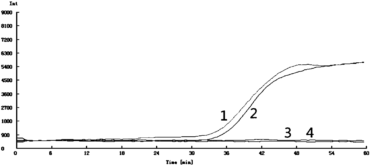 Enterobacter cloacae 16SrDNA and primer group Yg2 and application thereof in aspect of enterobacter cloacae molecule detection