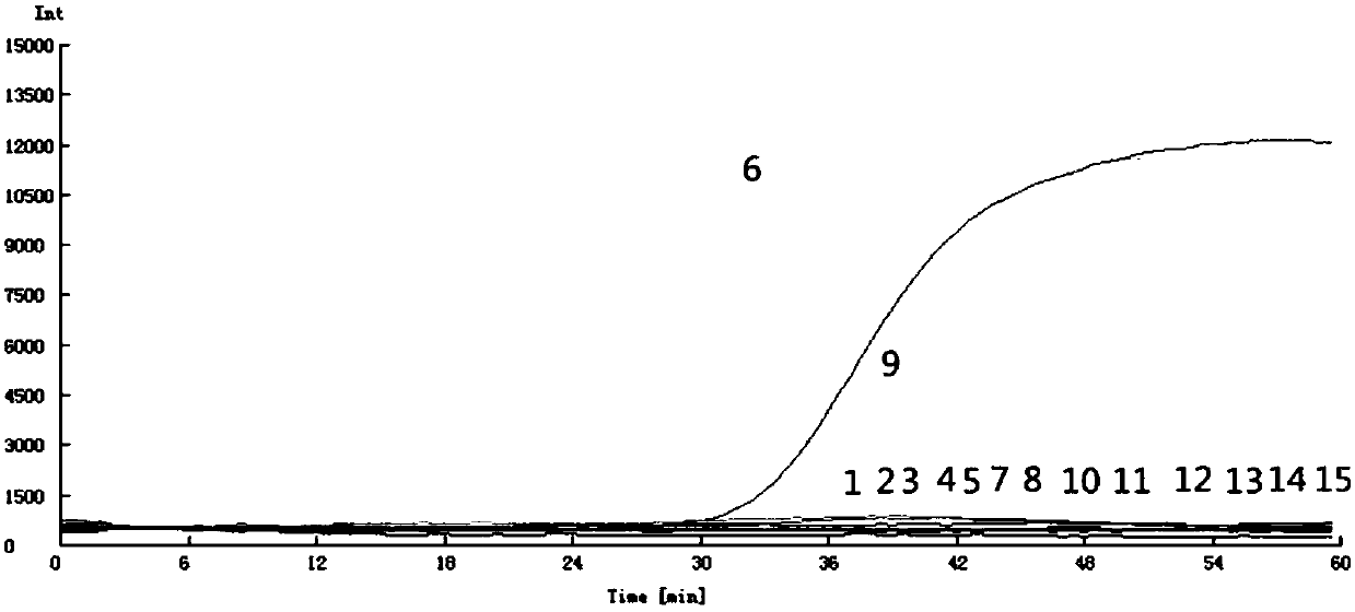 Enterobacter cloacae 16SrDNA and primer group Yg2 and application thereof in aspect of enterobacter cloacae molecule detection