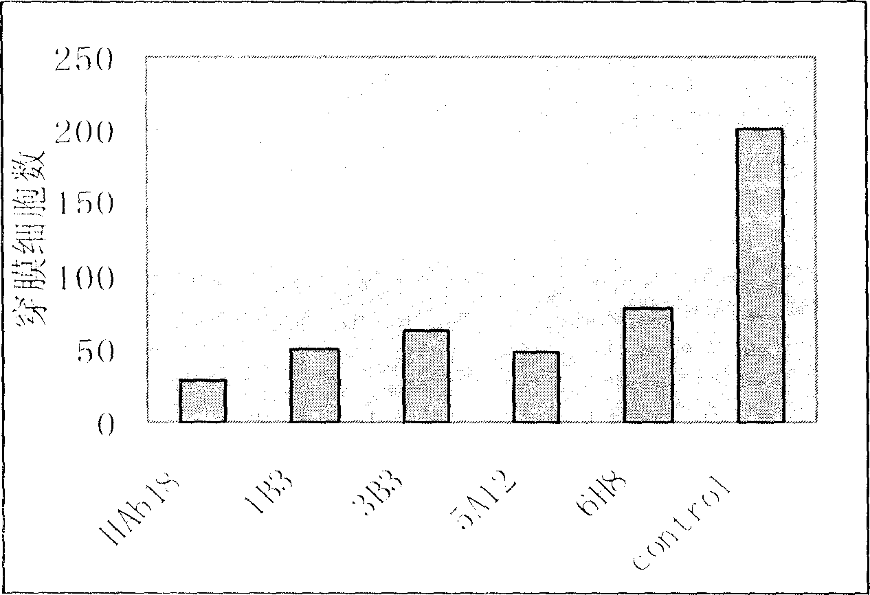 IIAb18G/CD147 function epitope amino acid sequence of series monoanti-body function and its use