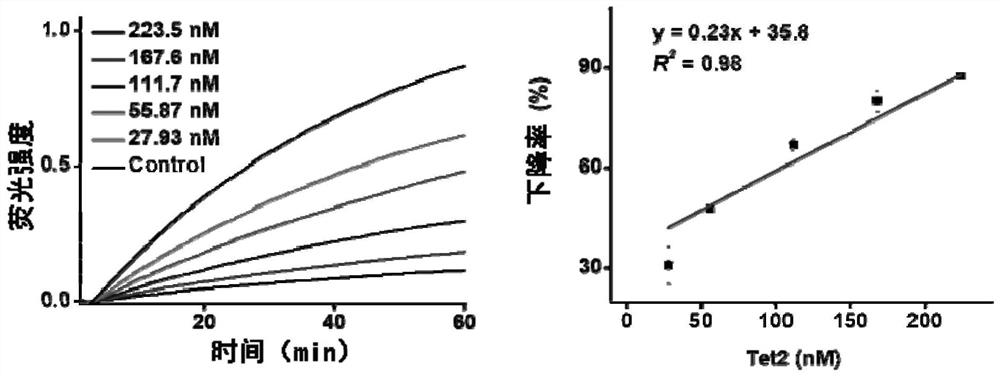 A method to study the sequence preference of tet2