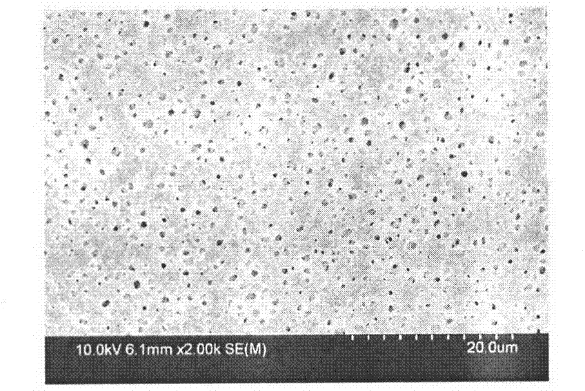 Multi-walled composite conductive carbon nanotube-polyvinylidene fluoride ultrafiltration membrane and preparation method thereof