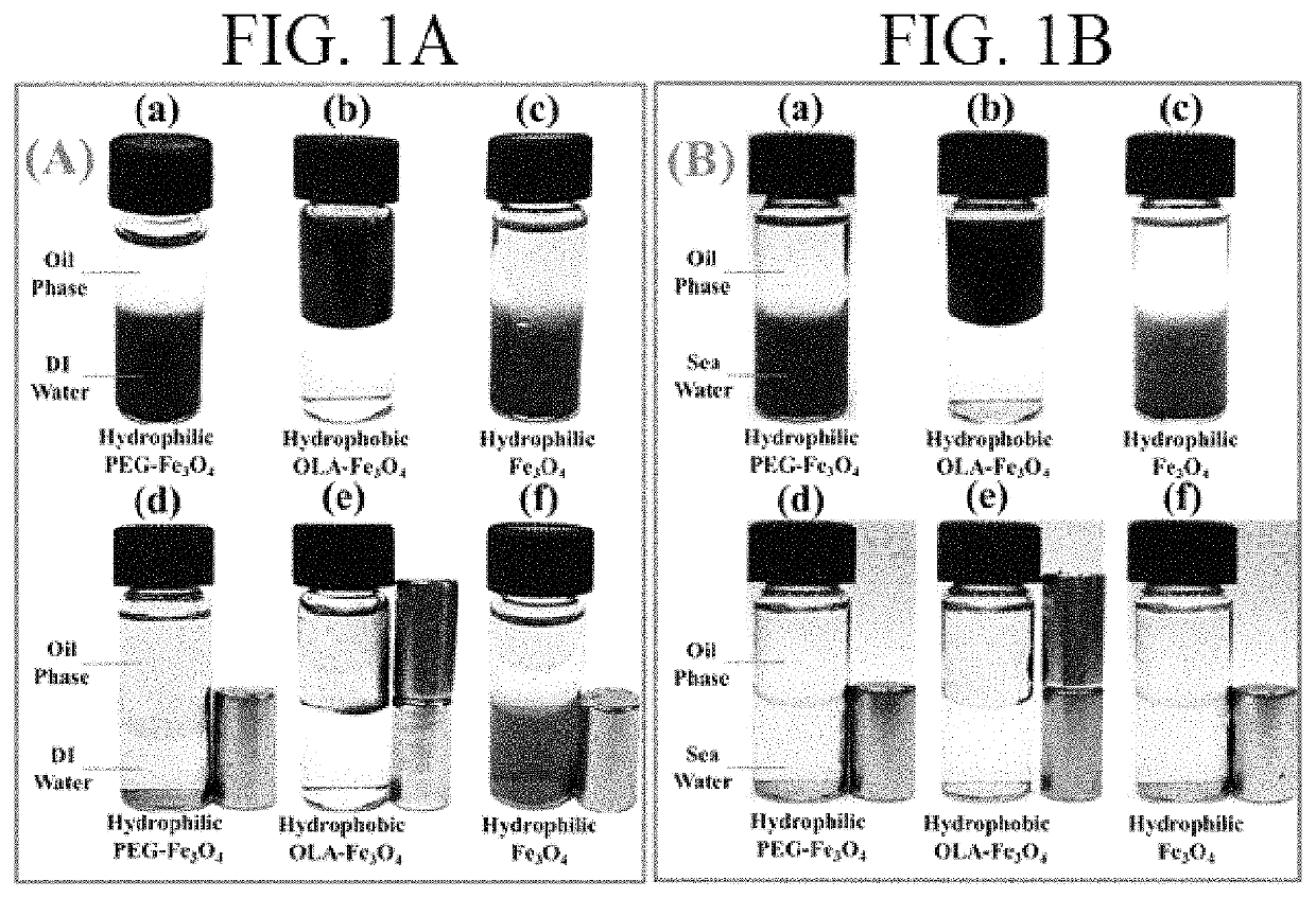 Hydrophilic and hydrophobic superparamagnetic Fe<sub>3</sub>O<sub>4 </sub>nanoparticles as T<sub>2</sub>-contrast agents for oil reservoir applications