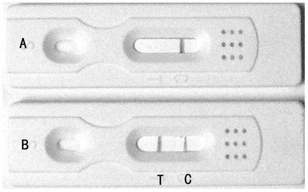 Recombinant antigen protein and kit for detecting epidemic encephalitis B virus antibody