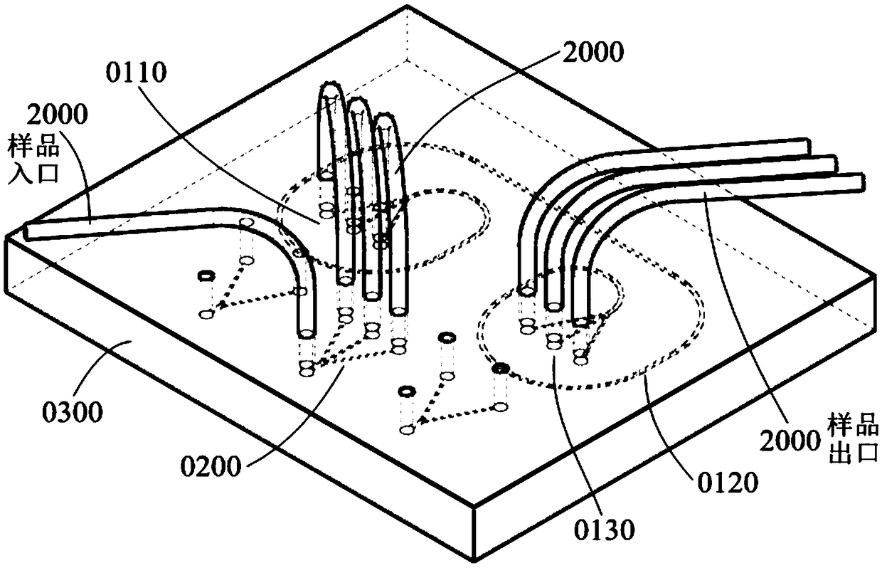 Universal inertial focus microfluidic chip